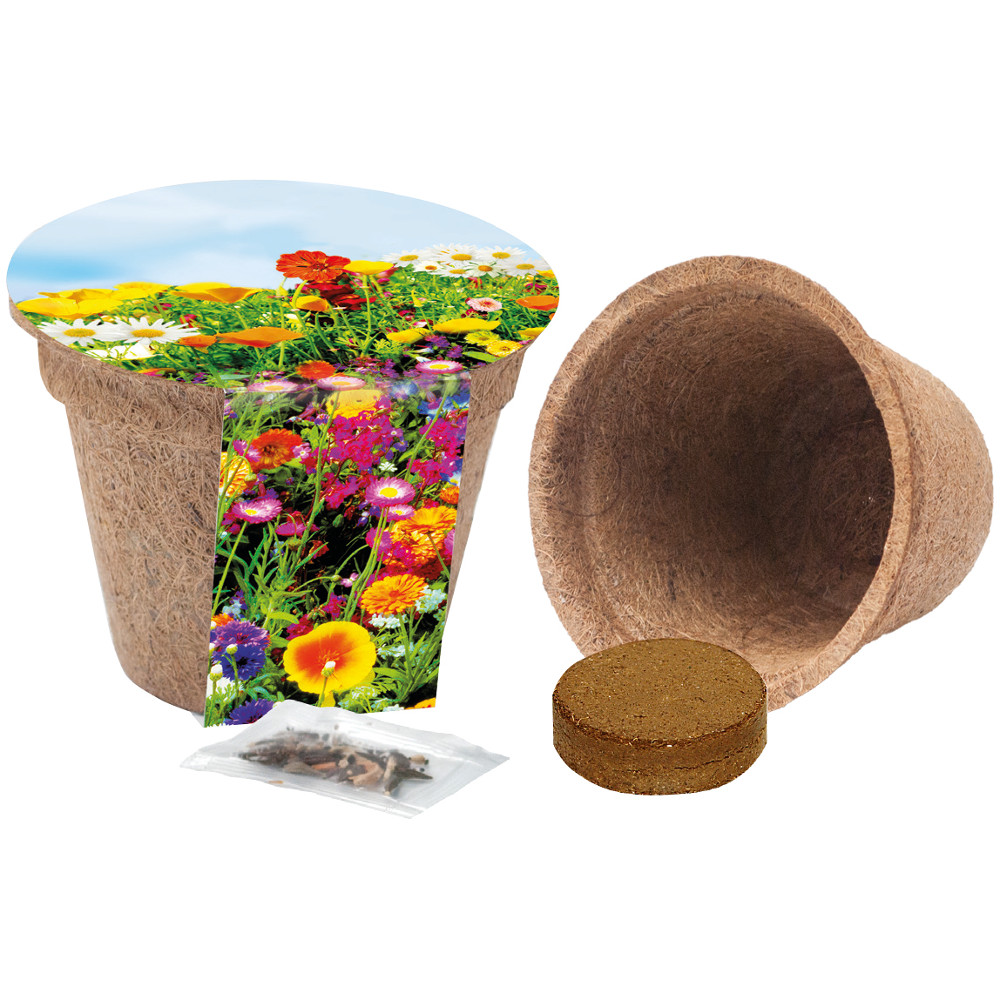 Coconut fiber jar | Eco promotional gift